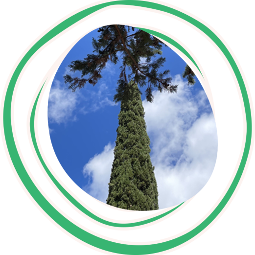cercle