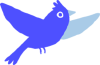 oiseau bleu oiseau bleu